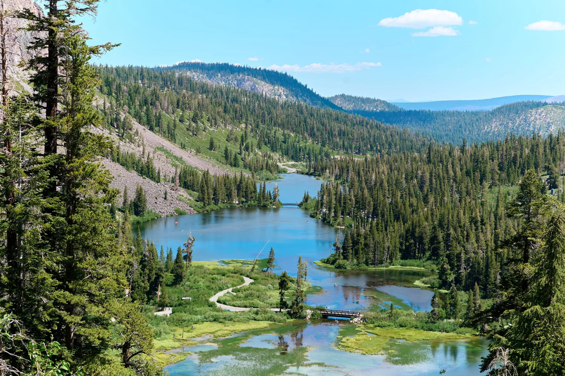 Twin Lakes and the pines