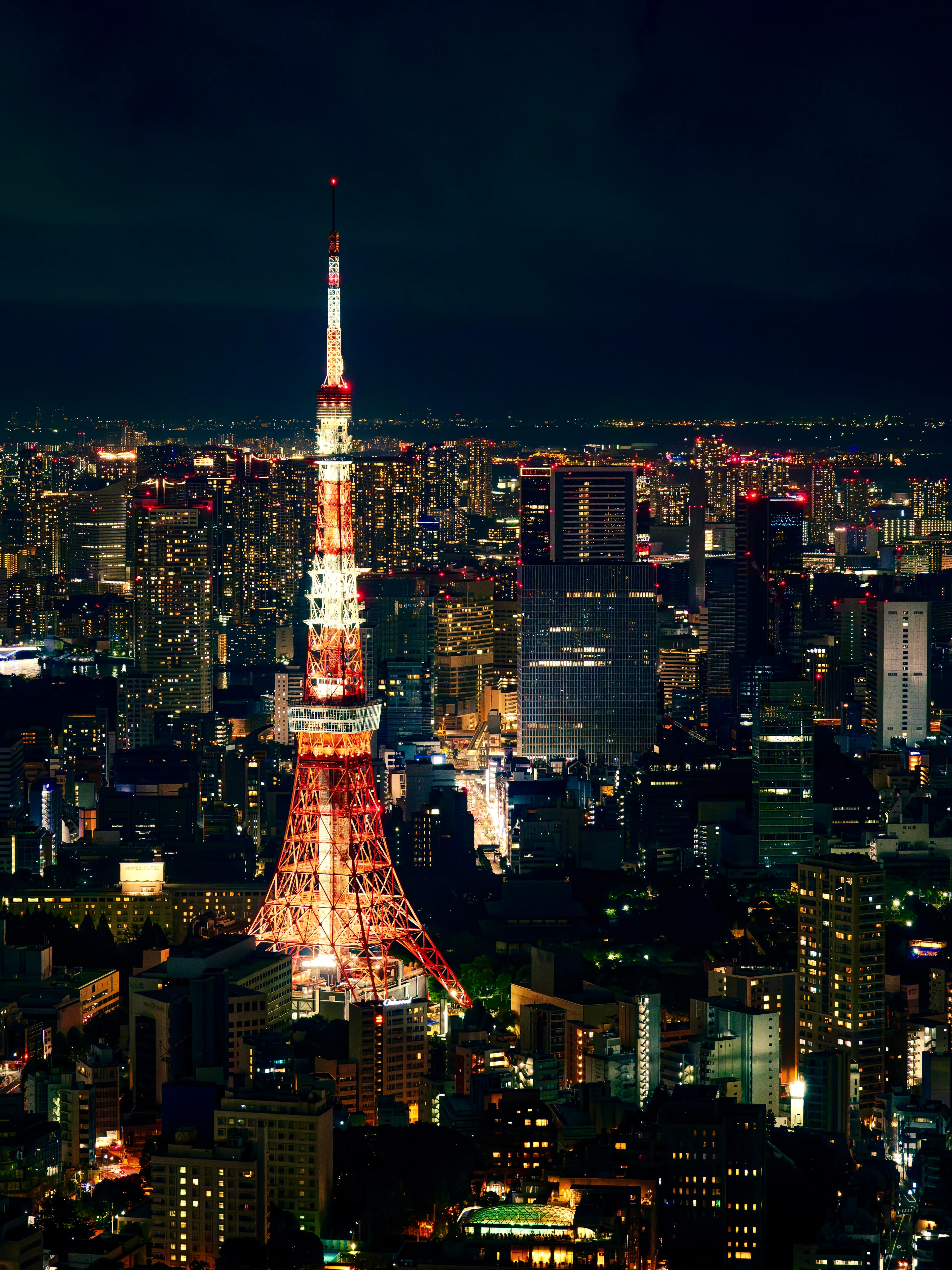 Tokyo Tower Night