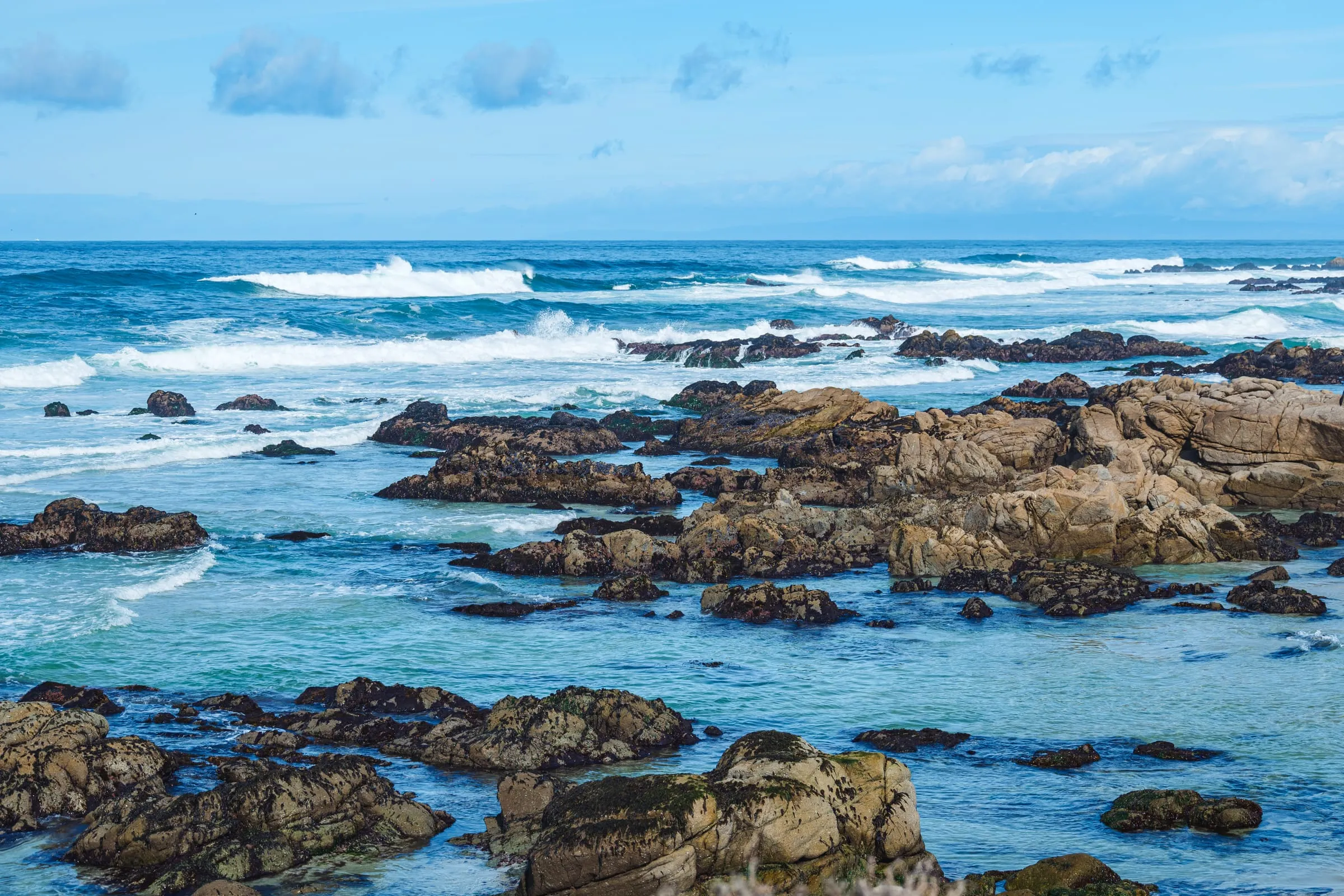 Sea